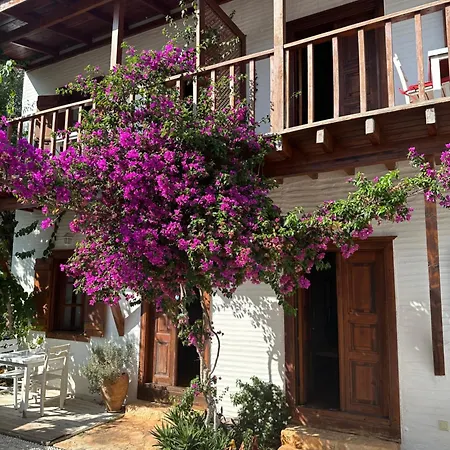 Hotel Courtyard